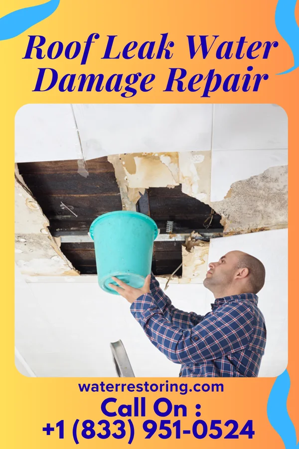 Roof Leak Water Damage Repair in Cobbtown, FL